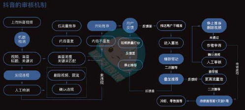 找到适合你的上海抖音账号运营厂家
