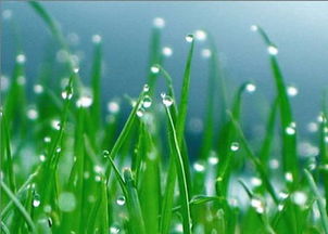 提防！抖音紫菊是假，诈欺是实2022-03-1819：40来源：动态领涨板块萨温齐