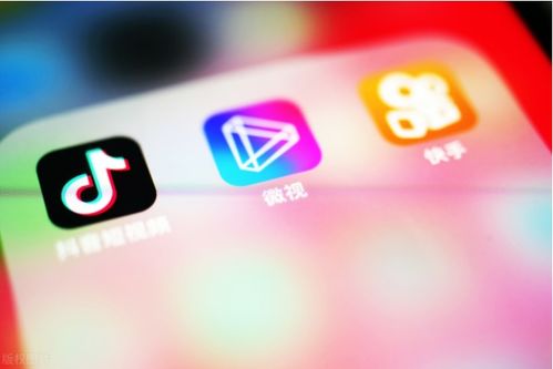 关于抖音 *** 咨询dajiou的信息
