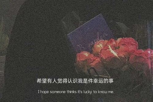 王者输搞笑文案抖音（王者荣耀输了发的说说）