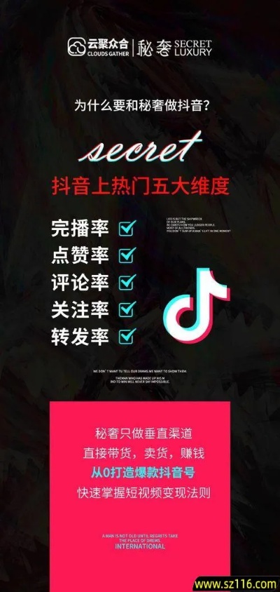 抖音9块9怎么赚钱创业