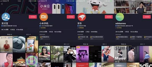 抖音千万级爆款内容流量密码：1000w点赞数据报告深度解析用户行为与创作趋势
