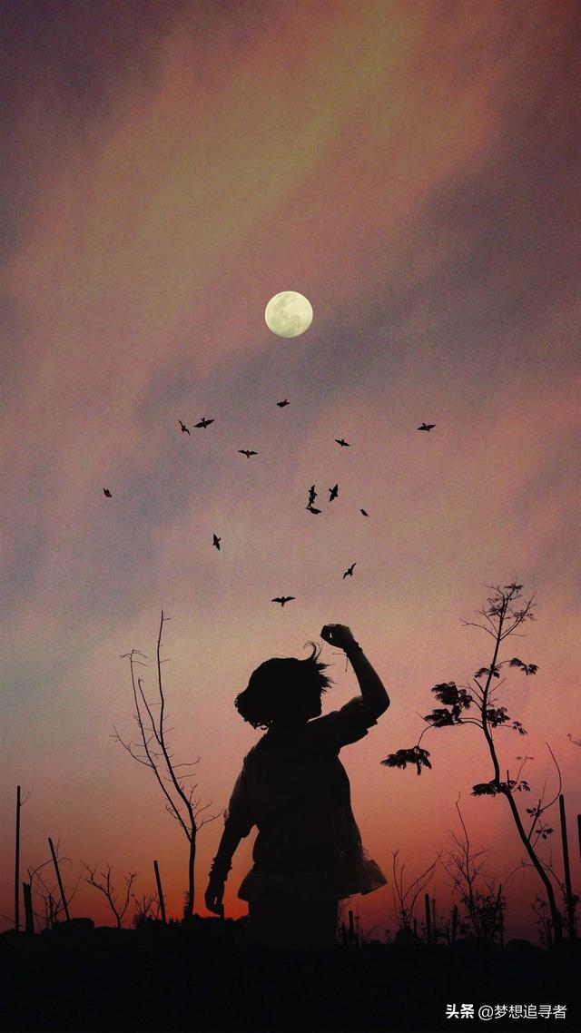 夜晚发的抖音文案一发就会被秒赞的句子