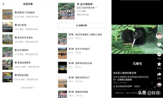 抖音粉丝多少钱能到11级 抖音粉丝多少钱能到11级