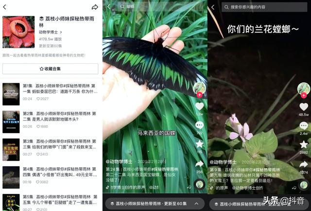 抖音粉丝多少钱能到11级 抖音粉丝多少钱能到11级