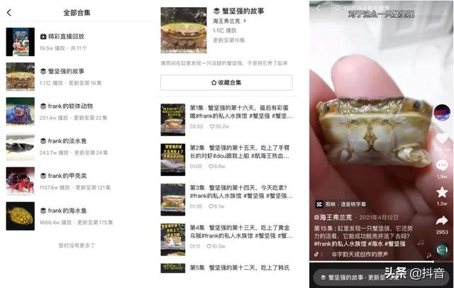 抖音粉丝多少钱能到11级 抖音粉丝多少钱能到11级