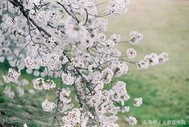 辞九门回忆抖音文案 辞九门回忆抖音文案