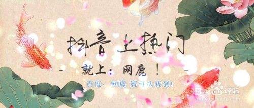 抖音 *** 如何查_抖音买粉丝会被限流吗